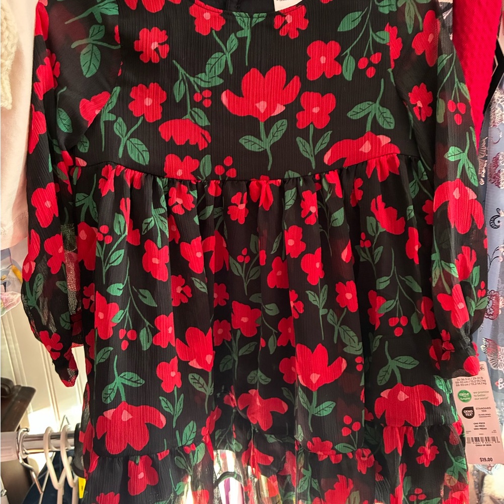 Carter's Black and Red Floral Kids Dress